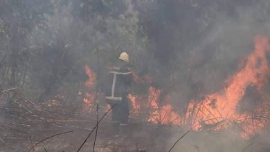 صورة الحماية المدنية تعلن إخماد جميع الحرائق المندلعة عبر مناطق الوطن