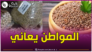 صورة هذه هي الأسعار الحقيقية للفاصولياء والعدس.. ديوان الحبوب يقرر