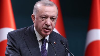 صورة أردوغان: التدخل العسكري في النيجر سيخلق حالة عدم استقرار في عدة بلدان إفريقية