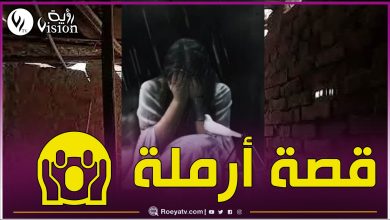 صورة قصة الأرملة الأربعينية وماذا فعلت كي تحمي طفلها.. تابعوا للنهاية