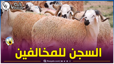 صورة عيد الأضحى.. شروط صارمة للمسلمين بفرنسا