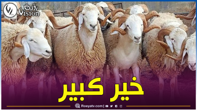 صورة هذا هو ترتيب الجزائر في قائمة البلدان الأكثر إمتلاكا للأغنام