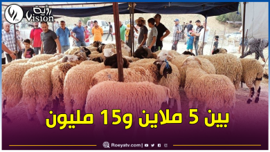 صورة حمبلي: العوامل المناخية الصعبة سبب غلاء المواشي